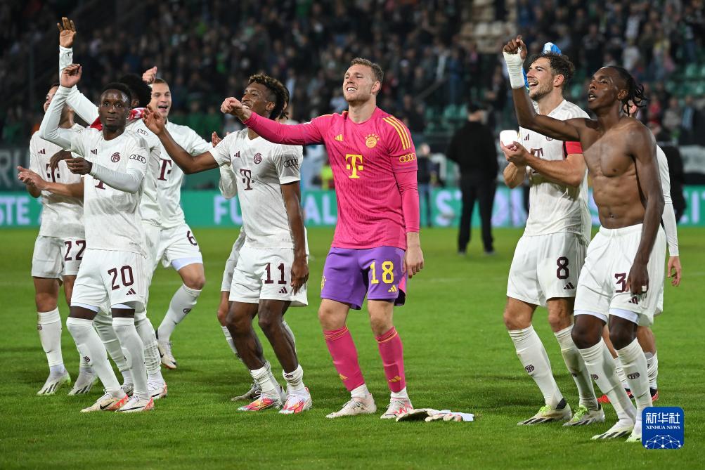 自然引用与 自然引用与