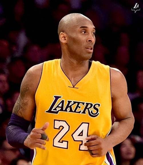 风险提示 风险提示